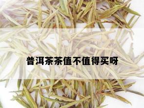 普洱茶茶值不值得买呀