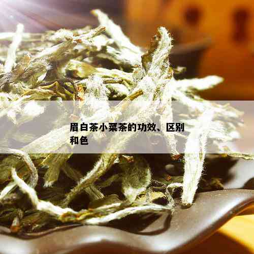 眉白茶小菜茶的功效、区别和色