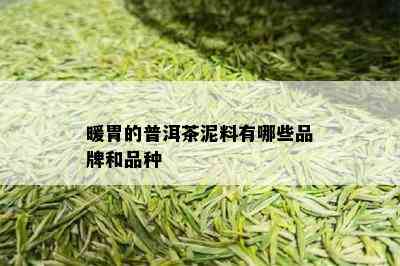 暖胃的普洱茶泥料有哪些品牌和品种