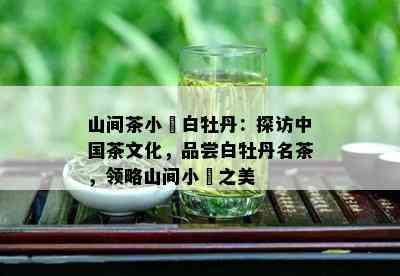 山间茶小玥白牡丹：探访中国茶文化，品尝白牡丹名茶，领略山间小玥之美