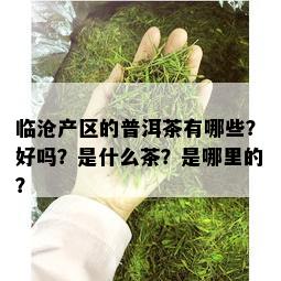 临沧产区的普洱茶有哪些？好吗？是什么茶？是哪里的？