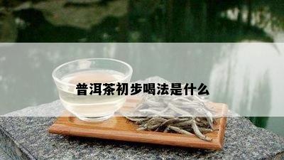 普洱茶初步喝法是什么