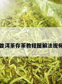 普洱茶存茶教程图解法视频