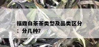 福鼎白茶茶类型及品类区分：分几种？