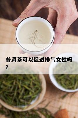 普洱茶可以促进排气女性吗？