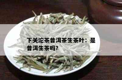 下关沱茶普洱茶生茶叶：是普洱生茶吗？