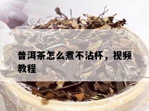 普洱茶怎么煮不沾杯，视频教程