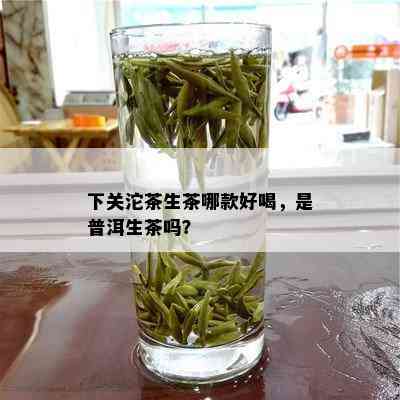 下关沱茶生茶哪款好喝，是普洱生茶吗？