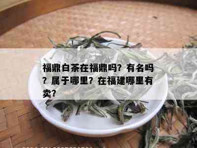 福鼎白茶在福鼎吗？有名吗？属于哪里？在福建哪里有卖？