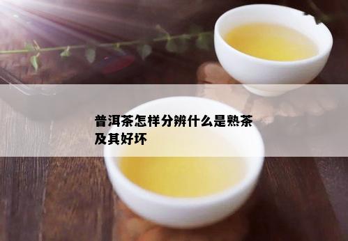 普洱茶怎样分辨什么是熟茶及其好坏