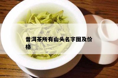 普洱茶所有山头名字图及价格