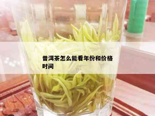 普洱茶怎么能看年份和价格时间