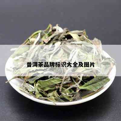 普洱茶品牌标识大全及图片