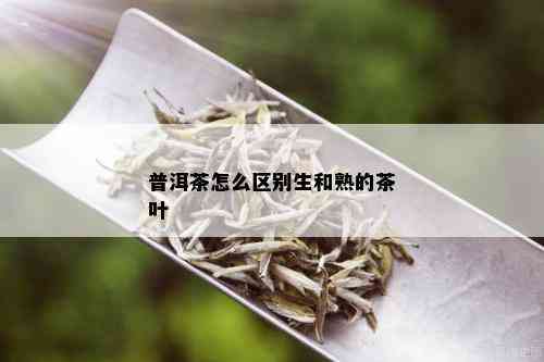 普洱茶怎么区别生和熟的茶叶