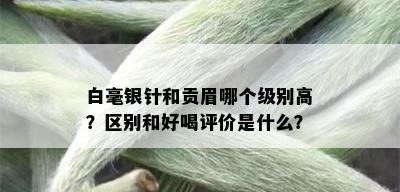 白毫银针和贡眉哪个级别高？区别和好喝评价是什么？