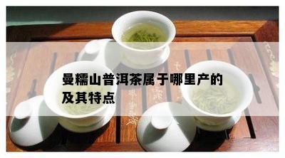 曼糯山普洱茶属于哪里产的及其特点