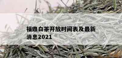 福鼎白茶开放时间表及最新消息2021