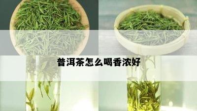 普洱茶怎么喝香浓好