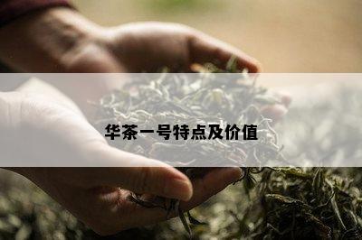 华茶一号特点及价值