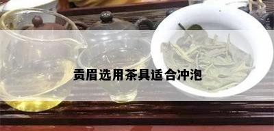 贡眉选用茶具适合冲泡