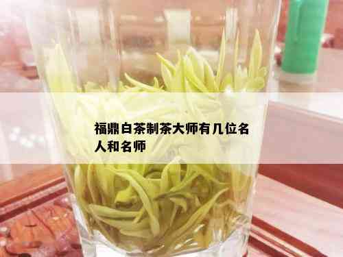 福鼎白茶制茶大师有几位名人和名师