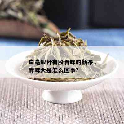 白毫银针有股青味的新茶，青味大是怎么回事？