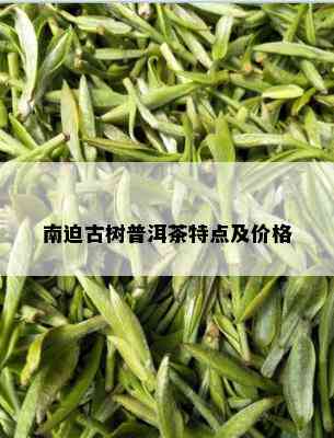 南迫古树普洱茶特点及价格