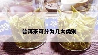 普洱茶可分为几大类别