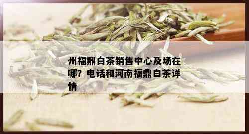 州福鼎白茶销售中心及场在哪？电话和河南福鼎白茶详情