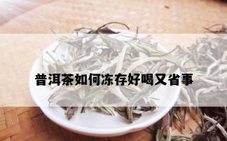 普洱茶如何冻存好喝又省事