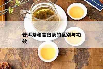 普洱茶和昔归茶的区别与功效