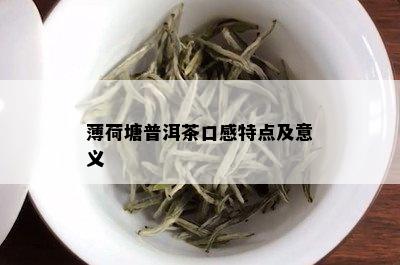 薄荷塘普洱茶口感特点及意义