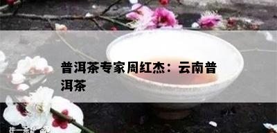 普洱茶专家周红杰：云南普洱茶