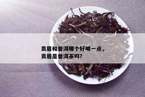 贡眉和普洱哪个好喝一点，贡眉是普洱茶吗？