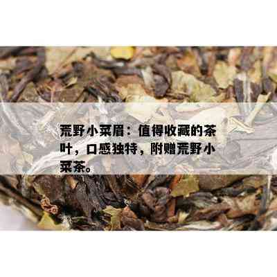 荒野小菜眉：值得收藏的茶叶，口感独特，附赠荒野小菜茶。