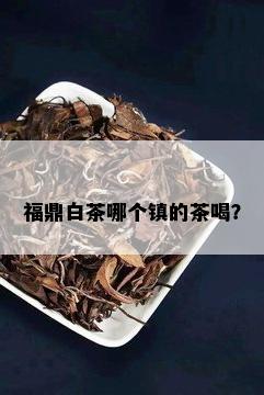 福鼎白茶哪个镇的茶喝？