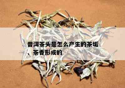 普洱茶头是怎么产生的茶垢、茶香形成的