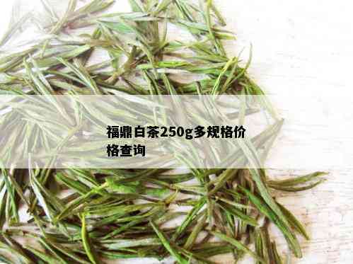 福鼎白茶250g多规格价格查询