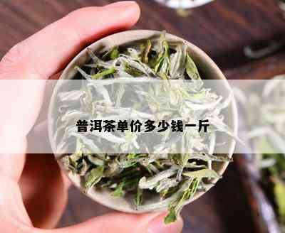 普洱茶单价多少钱一斤