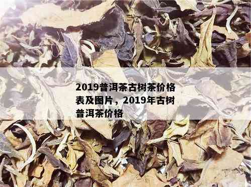 2019普洱茶古树茶价格表及图片，2019年古树普洱茶价格