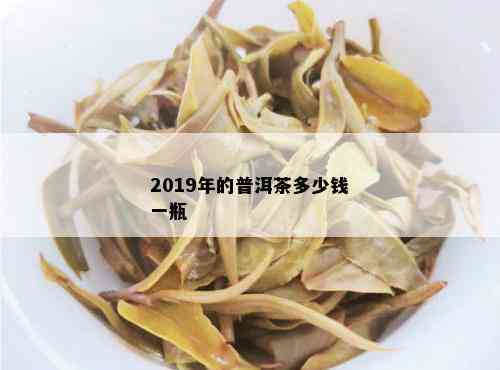 2019年的普洱茶多少钱一瓶