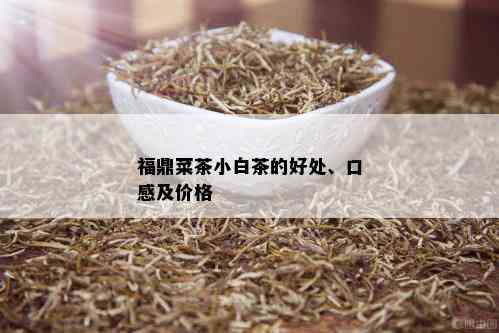 福鼎菜茶小白茶的好处、口感及价格