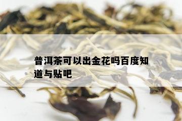 普洱茶可以出金花吗百度知道与贴吧