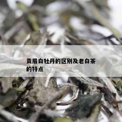 贡眉白牡丹的区别及老白茶的特点