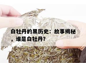 白牡丹的黑历史：故事揭秘，谁是白牡丹？