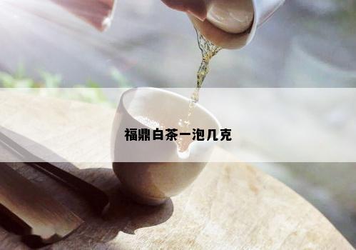 福鼎白茶一泡几克