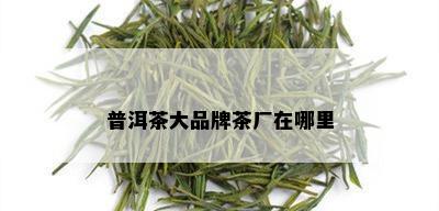 普洱茶大品牌茶厂在哪里