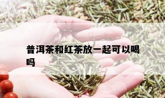 普洱茶和红茶放一起可以喝吗