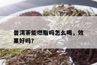 普洱茶能燃脂吗怎么喝，效果好吗？