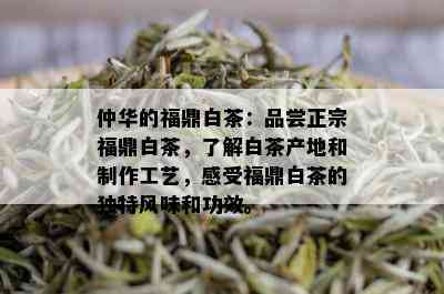 仲华的福鼎白茶：品尝正宗福鼎白茶，了解白茶产地和制作工艺，感受福鼎白茶的独特风味和功效。